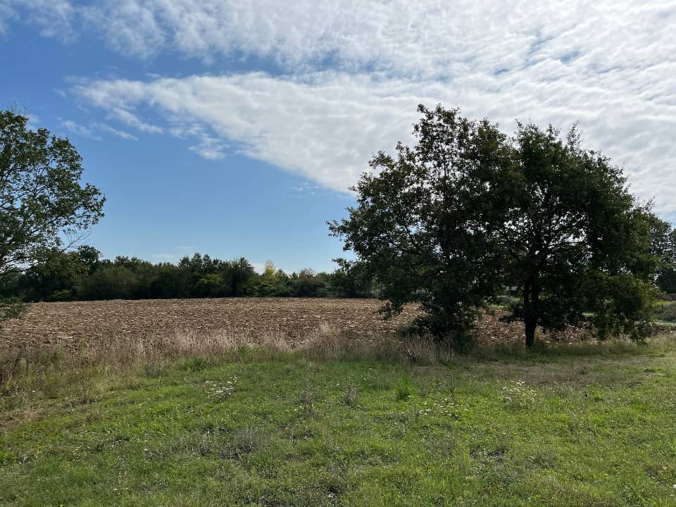 Terrain - Terrain à bâtir  () à Cadalen, prix 57 500 €