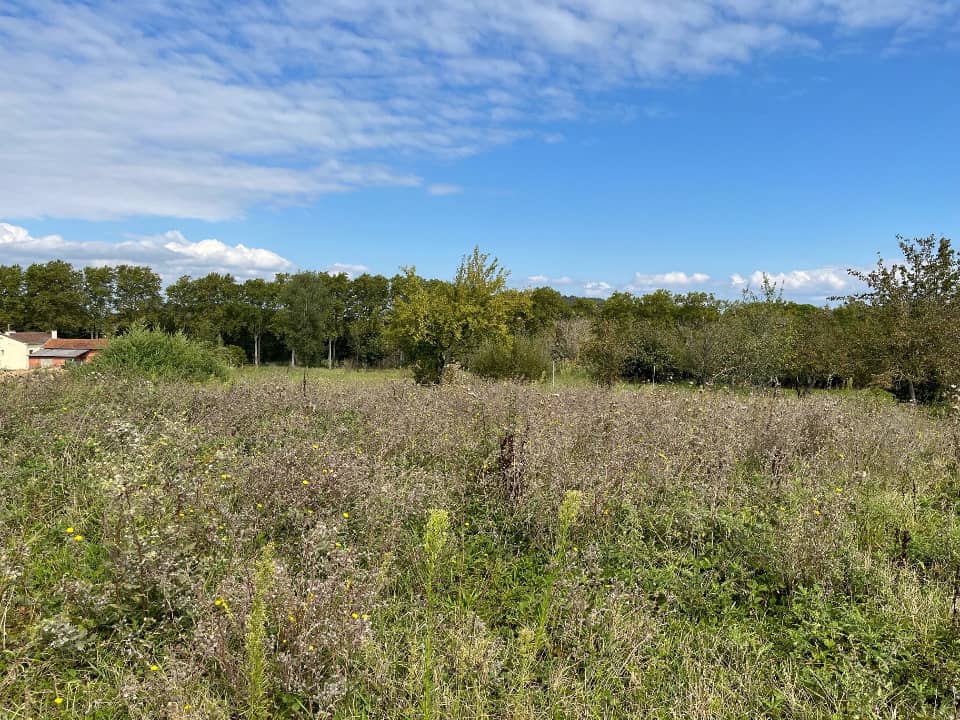 Terrain - Terrain à bâtir  () à Cadalen (81), prix 68 000 €