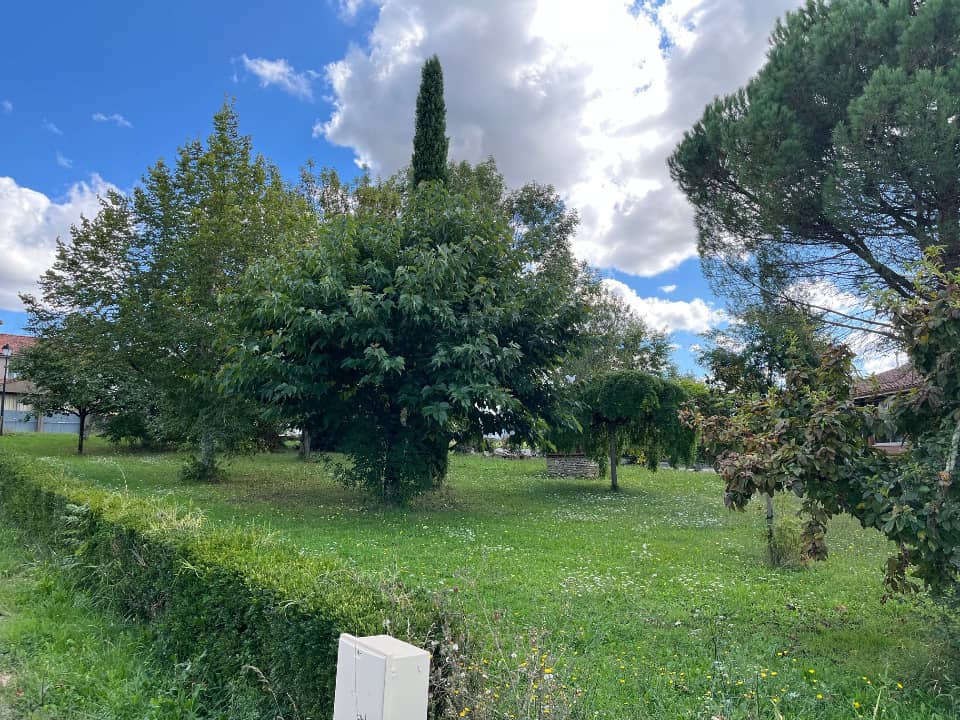 Terrain - Terrain à bâtir Dénat (81120) à Dénat (81), prix 55 000 €