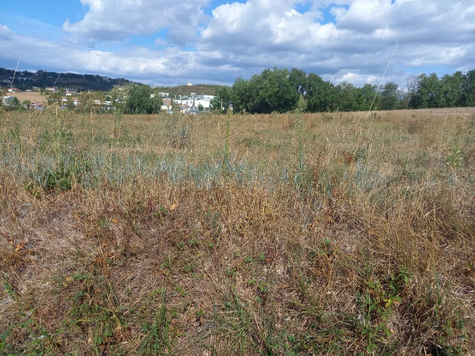 Terrain - Terrain à bâtir  () à Puygouzon (81), prix 65 000 €