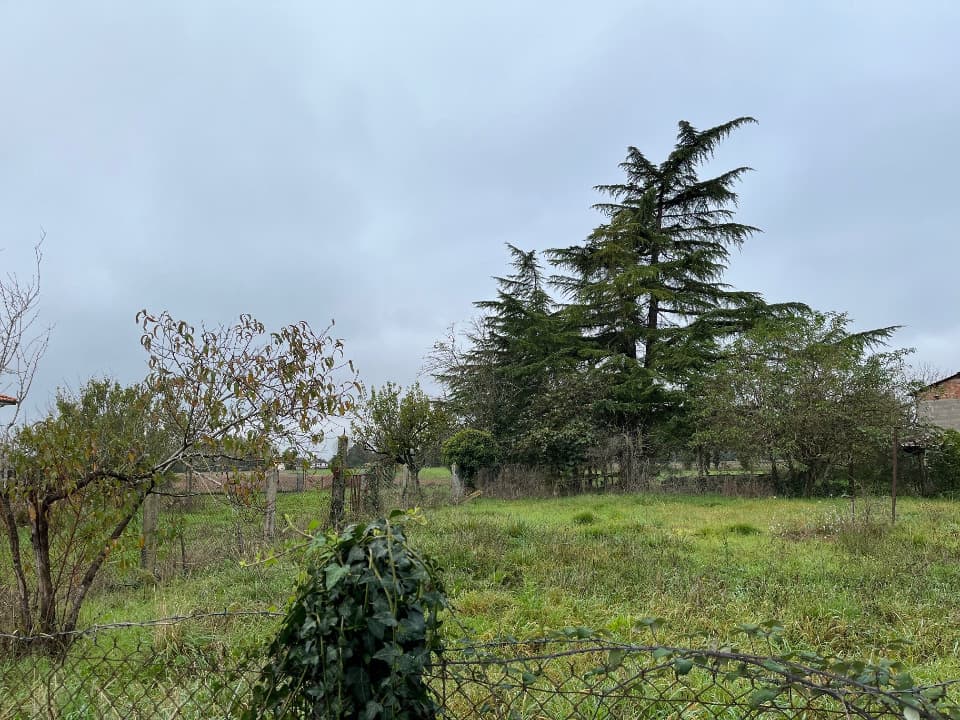 Terrain - Terrain à bâtir () à Terssac (81), prix 79 000 €