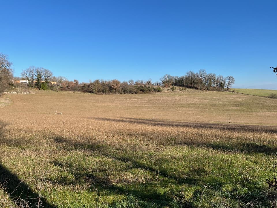 Terrain - Terrain à bâtir Mailhoc (81130) à Mailhoc (81), prix 73 550 €