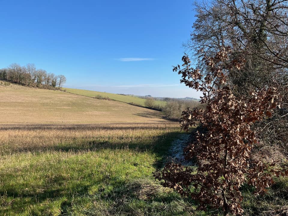 Terrain - Terrain à bâtir Mailhoc (81130) à Mailhoc, prix 69 700 €