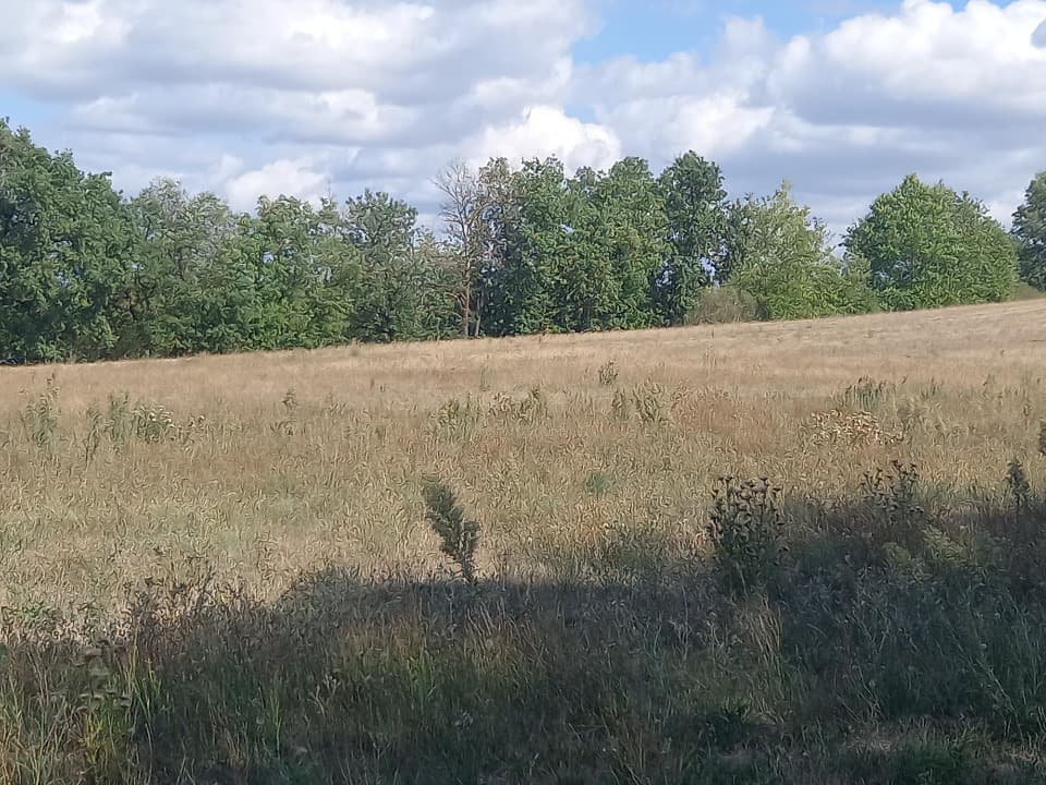 Terrain - Terrain à bâtir Puygouzon (81990) à Puygouzon (81), prix 79 900 €