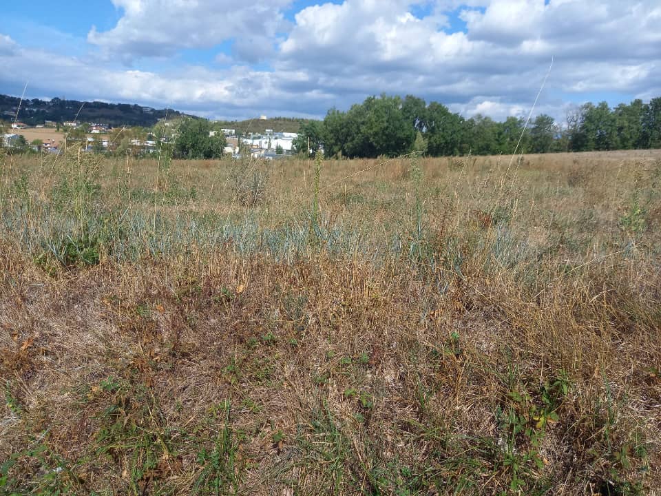 Terrain - Terrain à bâtir Puygouzon (81990) à Puygouzon, prix 65 000 €