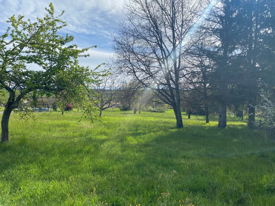 Terrain - Terrain à bâtir Rosières (81400) à Rosières (81), prix 65 000 €