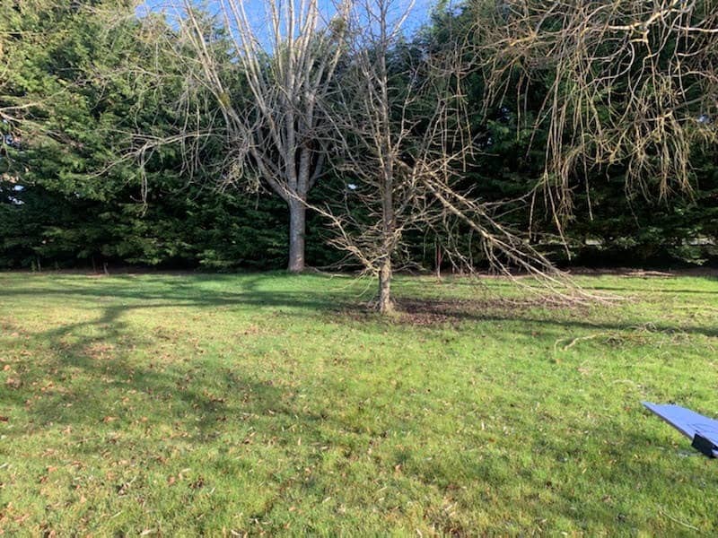 Terrain - Terrain à bâtir Les Essarts-le-Roi (78690) à Les Essarts-le-Roi (78), prix 160 000 €