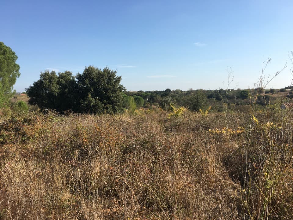 Terrain - Terrain à bâtir Beauvoisin (30640) à Beauvoisin (30), prix 114 000 €