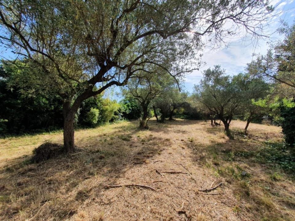 Terrain - Terrain à bâtir Saint-Gilles (30800) à Saint-Gilles (30), prix 157 000 €