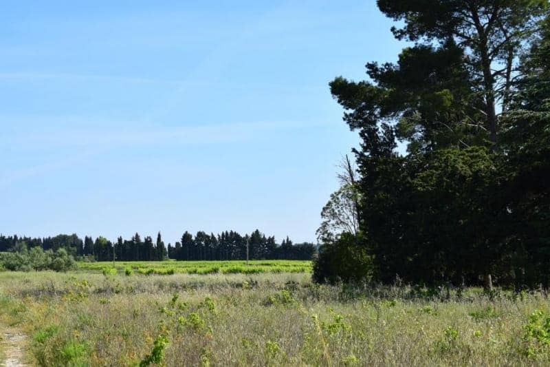 Terrain - Terrain à bâtir () à Domazan (30), prix 117 900 €