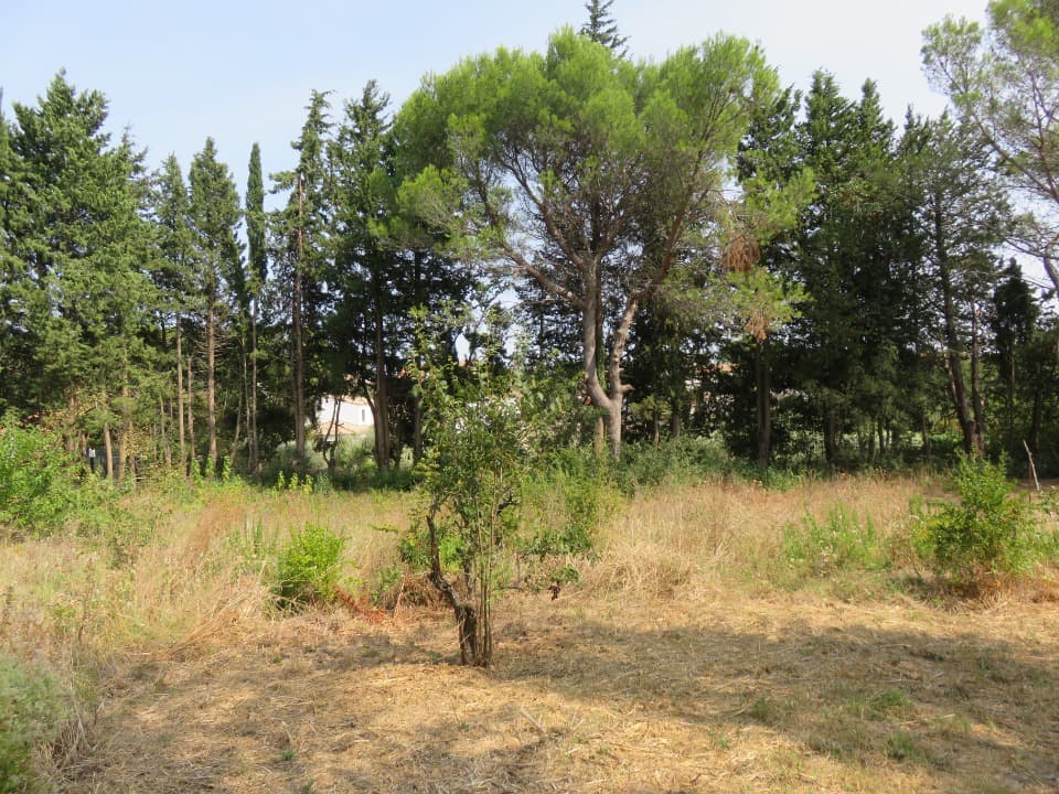 Terrain - Terrain à bâtir () à Mus (30), prix 159 900 €