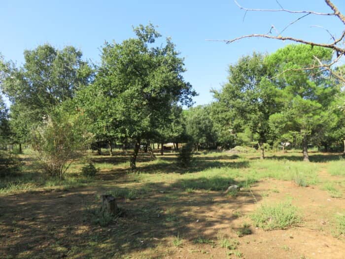 Terrain - Terrain à bâtir  () à Montignargues (30), prix 78 900 €