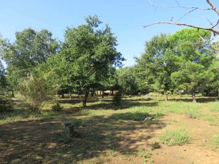 Terrain - Terrain à bâtir () à Montignargues (30), prix 78 900 €