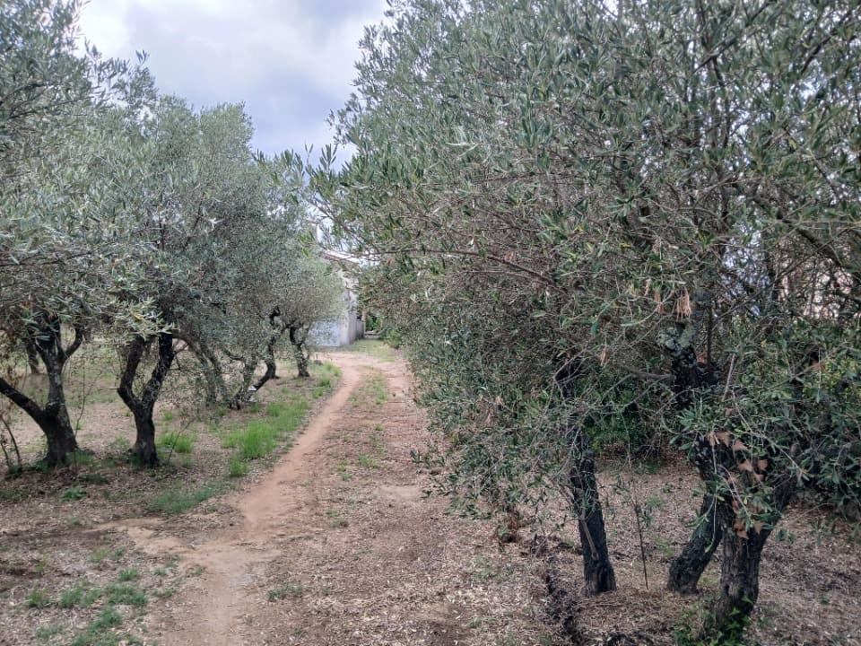 Terrain - Terrain à bâtir () à Junas (30), prix 155 000 €