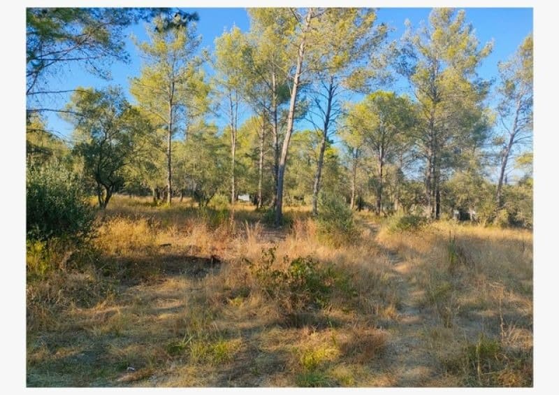 Terrain - Terrain à bâtir () à Langlade (30), prix 200 000 €