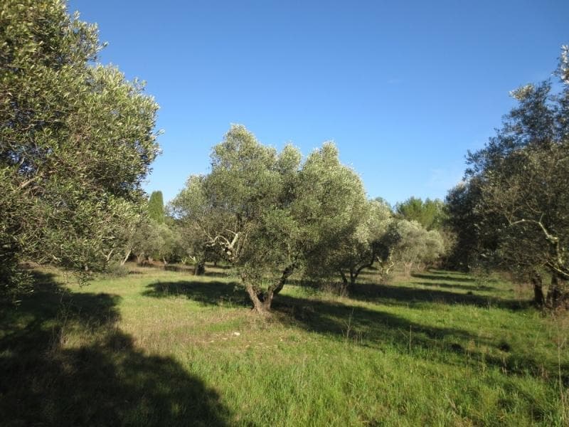 Terrain - Terrain à bâtir () à Vergèze (30), prix 219 000 €