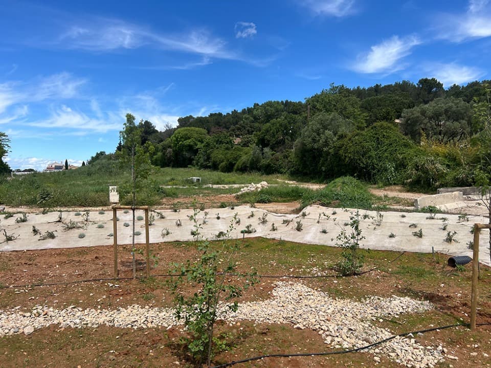 Terrain - Terrain à bâtir Beauvoisin (30640) à Beauvoisin (30), prix 134 000 €