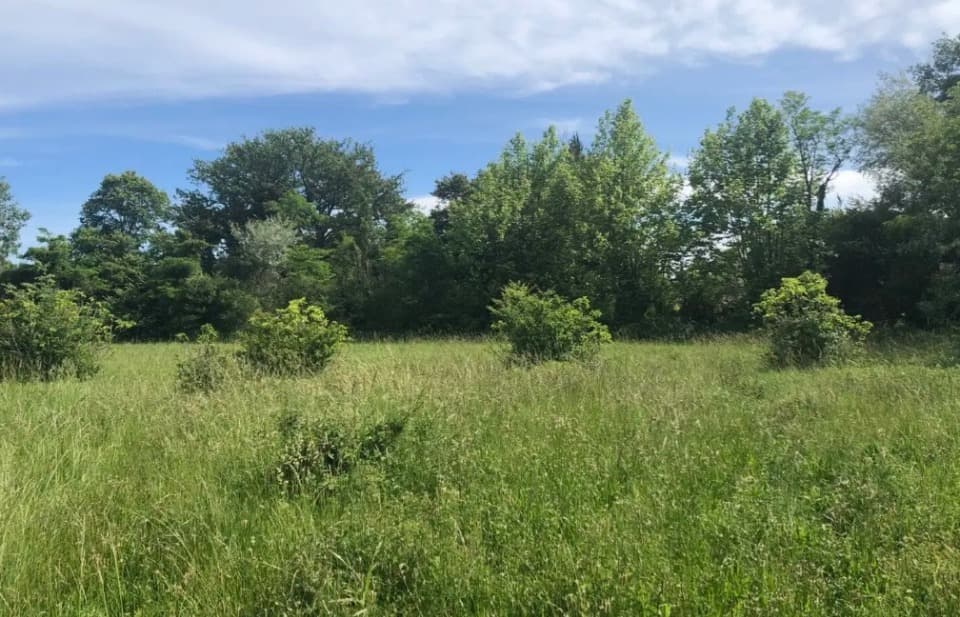 Terrain - Terrain à bâtir Orthoux-Sérignac-Quilhan (30260) à Orthoux-Sérignac-Quilhan (30), prix 129 000 €
