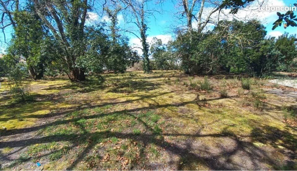 Terrain - Terrain à bâtir Andernos-les-Bains (33510) à Andernos-les-Bains (33), prix 240 000 €