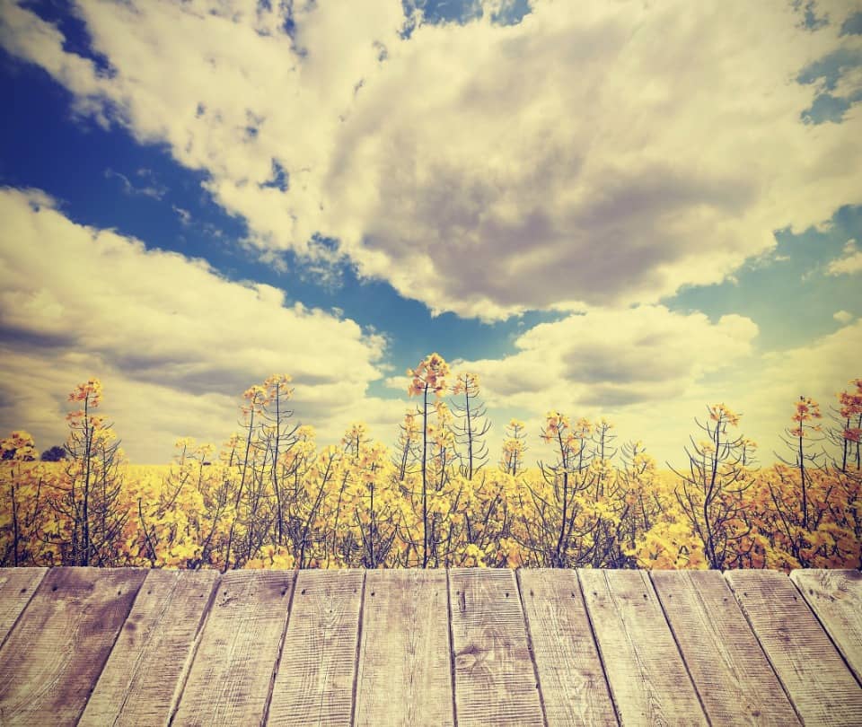 Terrain - Terrain à bâtir Audenge (33980) à Audenge (33), prix 258 000 €