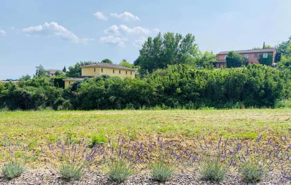 Terrain - Terrain à bâtir Clermont-le-Fort (31810) à Clermont-le-Fort (31), prix 149 900 €
