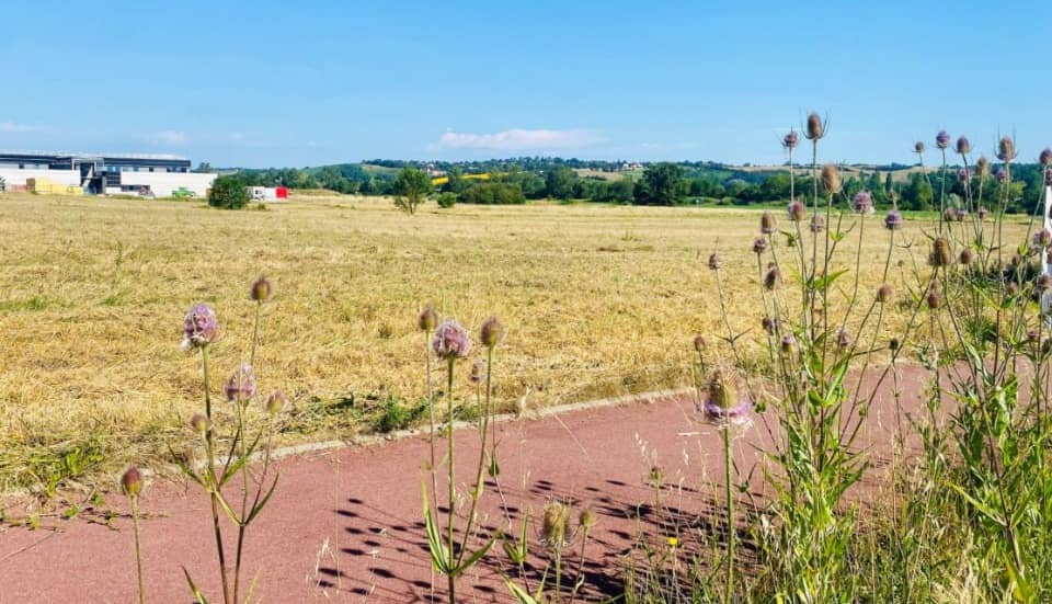 Terrain - Terrain à bâtir Sainte-Foy-d'Aigrefeuille (31570) à Sainte-Foy-d'Aigrefeuille, prix 92 900 €