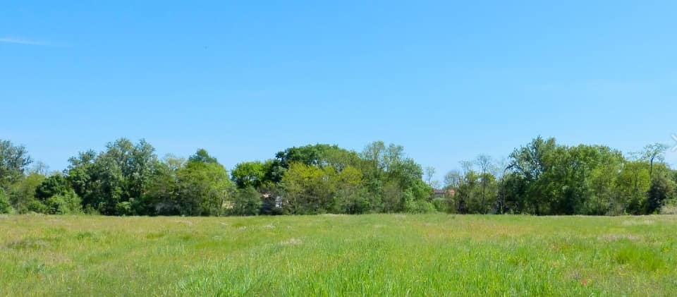 Terrain - Terrain à bâtir Saint-Lys (31470) à Saint-Lys (31), prix 89 000 €