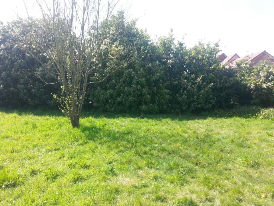 Terrain - Terrain à bâtir Les Damps (27340) à Les Damps (27), prix 45 000 €