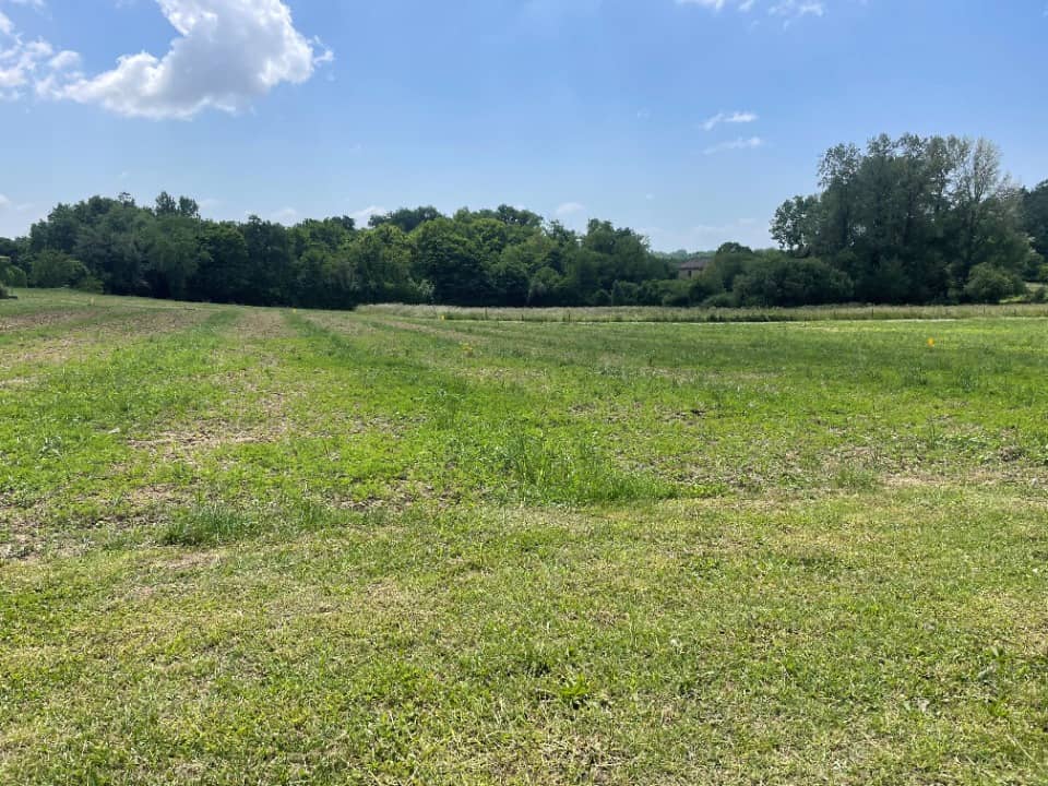 Terrain - Terrain à bâtir Mombrier (33710) à Mombrier (33), prix 47 000 €