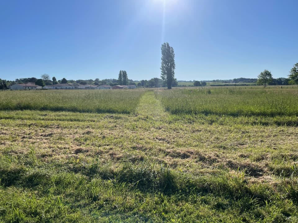 Terrain - Terrain à bâtir Bourg (33710) à Bourg (33), prix 55 000 €