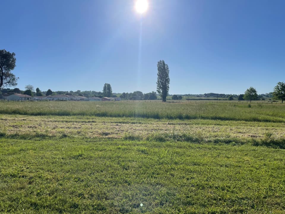 Terrain - Terrain à bâtir Mazion (33390) à Mazion (33), prix 35 000 €