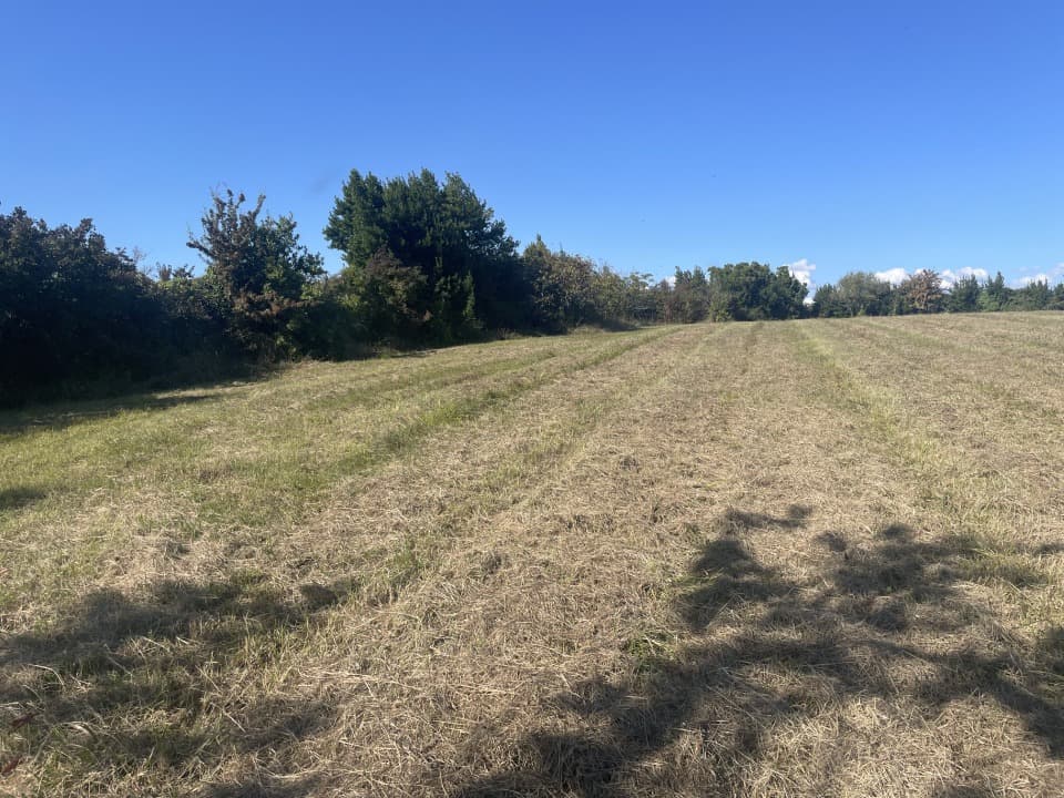 Terrain - Terrain à bâtir Bourg (33710) à Bourg (33), prix 48 000 €