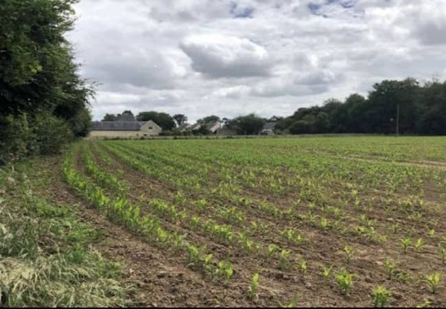 Terrain - Terrain à bâtir Mouen (14790) à Mouen (14), prix 53 000 €