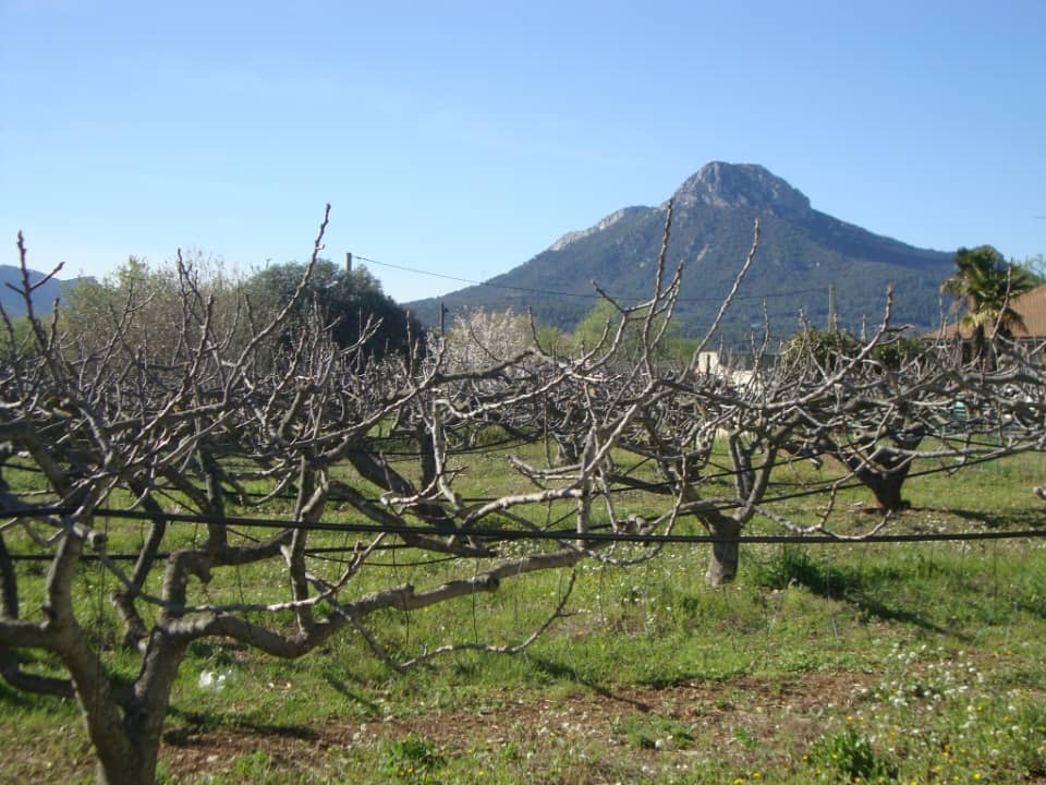 Terrain - Terrain à bâtir  () à La Crau (83), prix 410 000 €