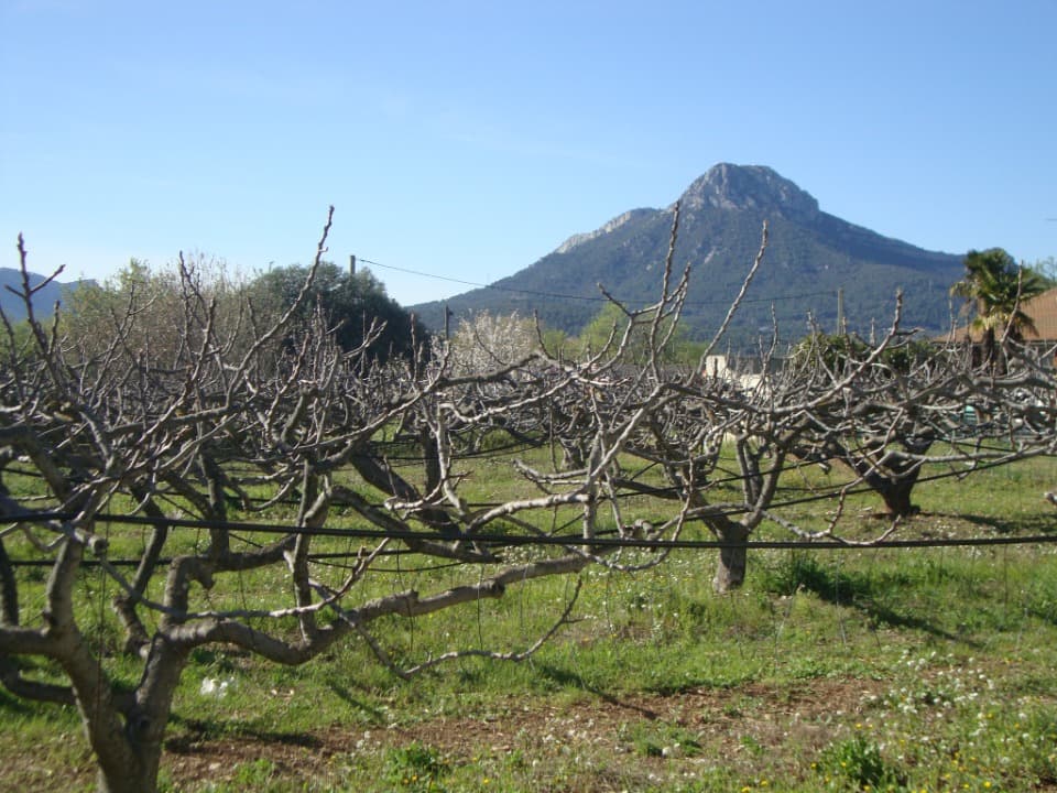 Terrain - Terrain à bâtir () à La Crau (83), prix 410 000 €