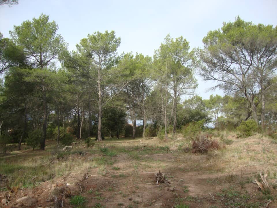Terrain - Terrain à bâtir  () à Pierrefeu-du-Var (83), prix 150 000 €