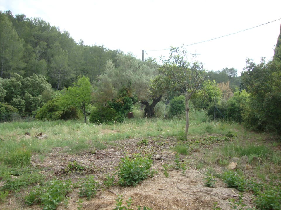 Terrain - Terrain à bâtir () à Cuers (83), prix 255 000 €