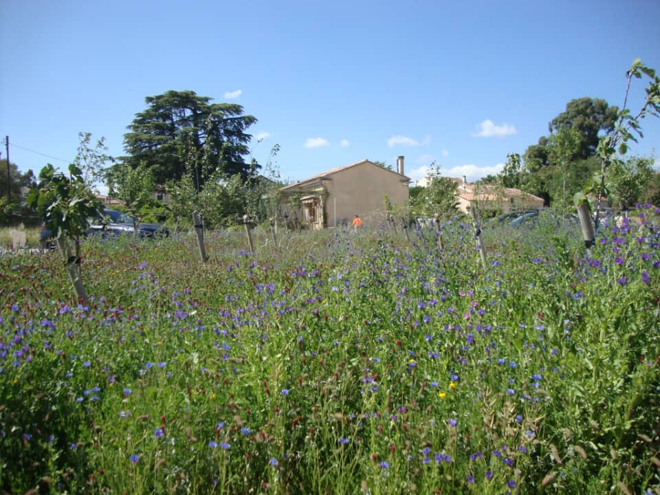 Terrain - Terrain à bâtir  () à Hyères (83), prix 225 000 €