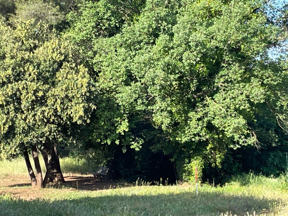 Terrain - Terrain à bâtir Pierrefeu-du-Var (83390) à Pierrefeu-du-Var (83), prix 160 000 €