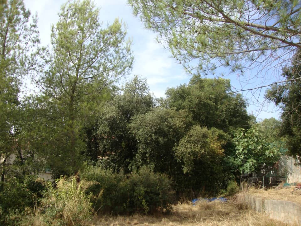 Terrain - Terrain à bâtir La Crau (83260) à La Crau (83), prix 280 000 €