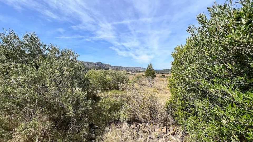 Terrain - Terrain à bâtir  () à Cases-de-Pène (66), prix 72 000 €