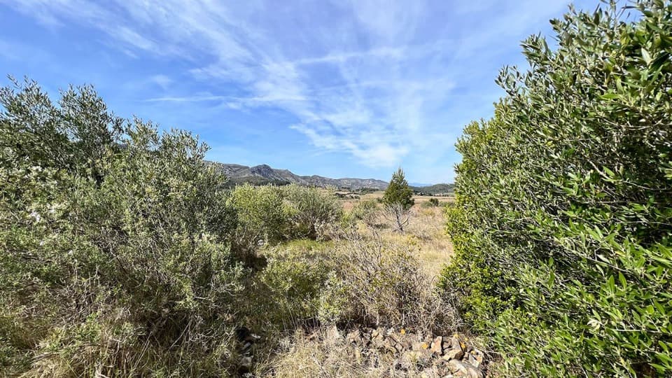 Terrain - Terrain à bâtir  () à Cases-de-Pène (66), prix 72 000 €