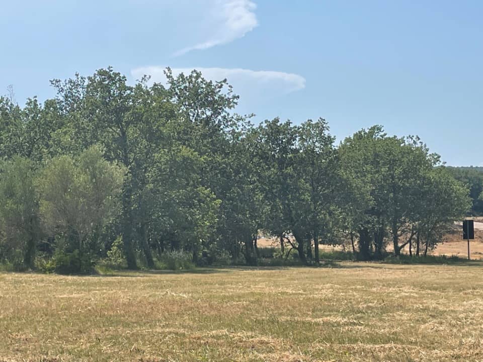 Terrain - Terrain à bâtir  () à Thuir (66), prix 135 000 €