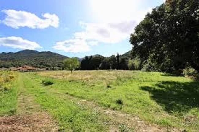 Terrain - Terrain à bâtir  () à Sorède (66), prix 203 000 €