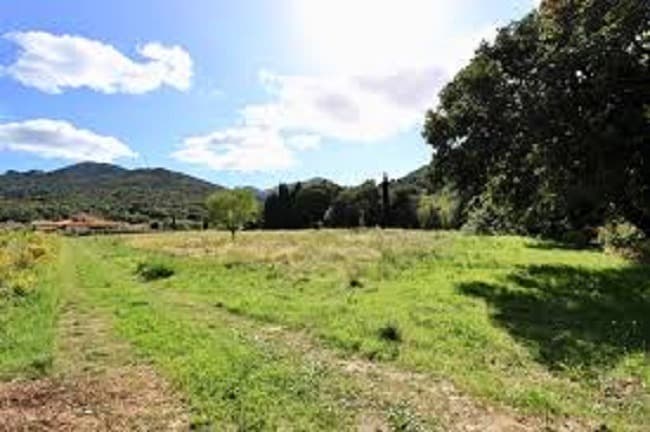 Terrain - Terrain à bâtir  () à Sorède (66), prix 203 500 €