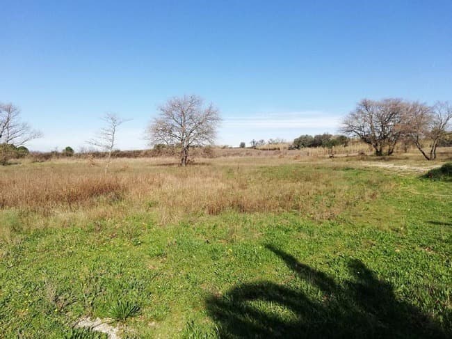 Terrain - Terrain à bâtir  () à Saint-Jean-Lasseille (66), prix 119 600 €