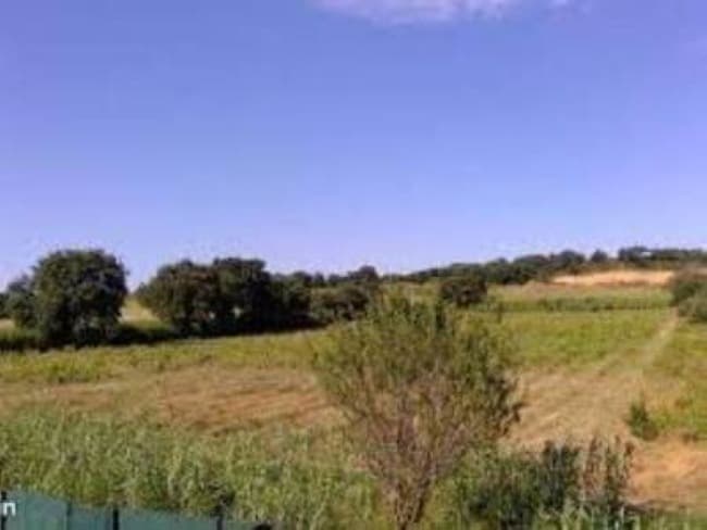 Terrain - Terrain à bâtir  () à Saint-Jean-Lasseille (66), prix 79 940 €