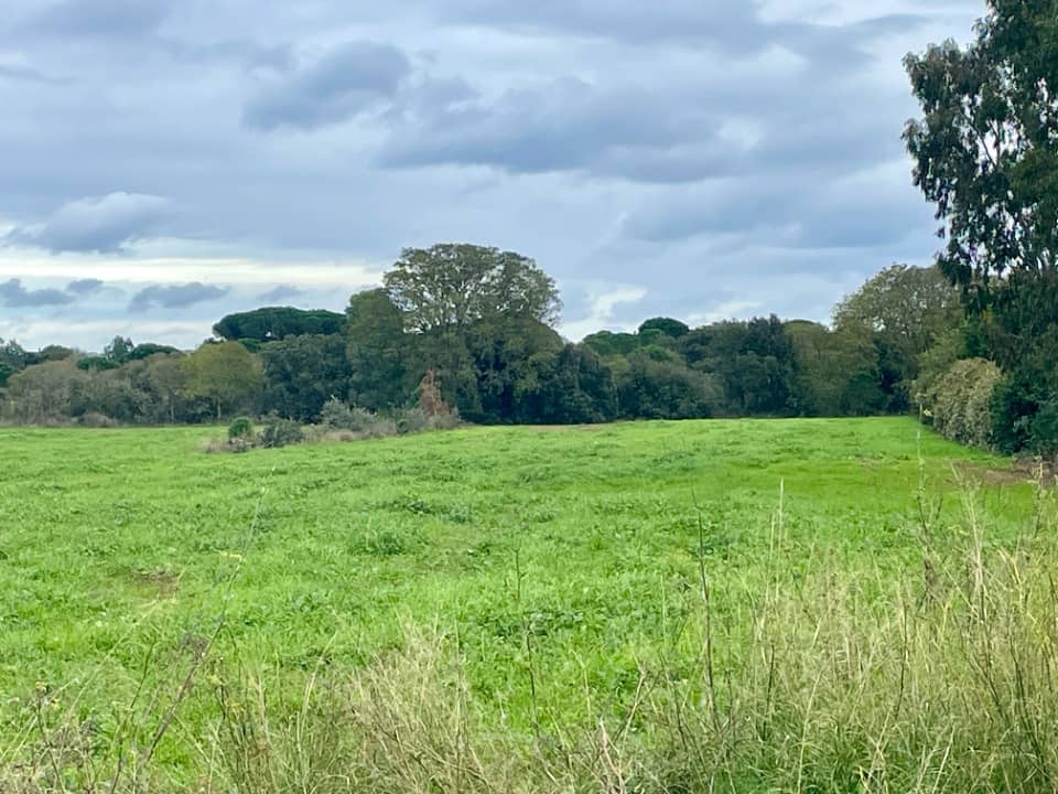 Terrain - Terrain à bâtir  () à Sorède (66), prix 234 000 €