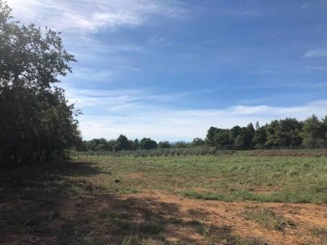 Terrain - Terrain à bâtir  () à Thuir (66), prix 299 000 €