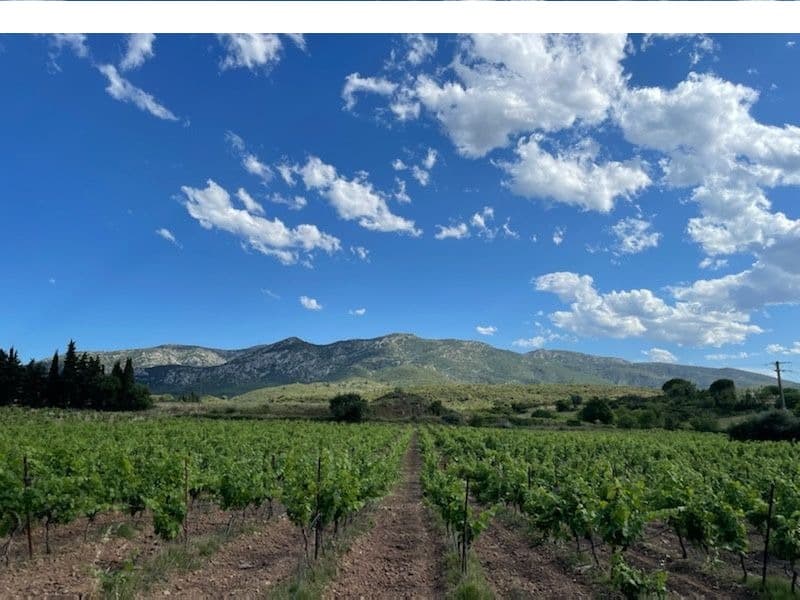 Terrain - Terrain à bâtir Tresserre (66300) à Tresserre (66), prix 112 900 €